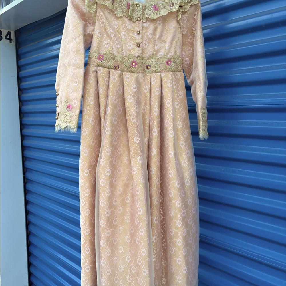 Disney store Aurora costume dress 7/8